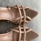 Apricot 